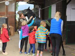 Volti Trainingslager 2017