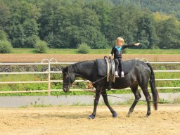 Volti Trainingslager 2017