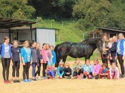 Volti Trainingslager 2017